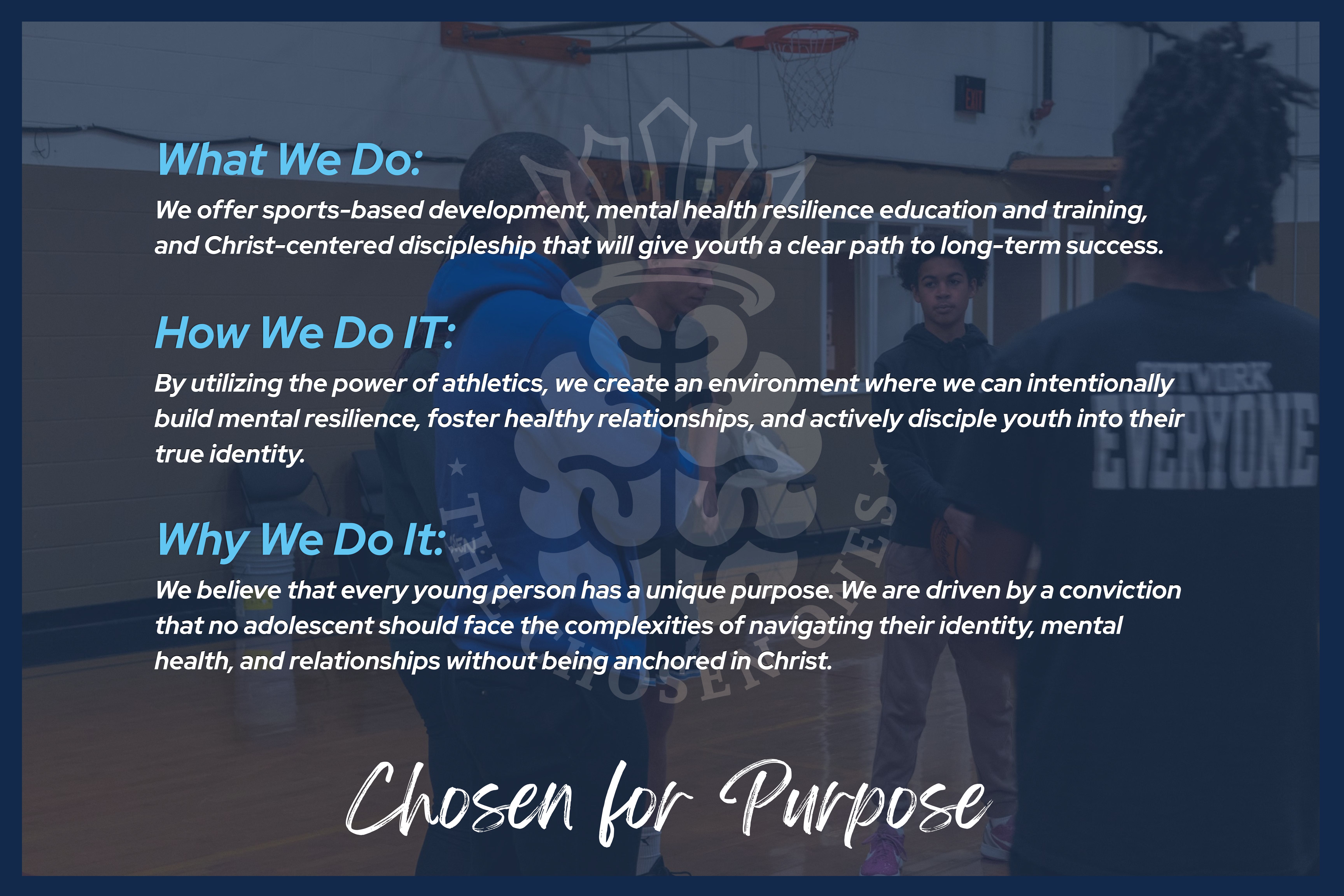 What We Do